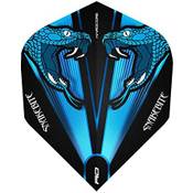Red Dragon Peter Wright Snakebite Dart Flights Vergleich