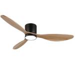 Reiga Smart Deckenventilator
