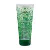 Rene Furterer Forticea Shampoo