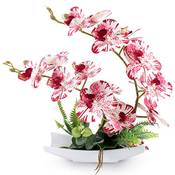 Rerxn Dekorative Orchidee Vergleich
