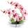 Rerxn Dekorative Orchidee
