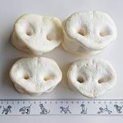 Rex Natur Hundeleckerlies Schweinenasen 50 Stück Vergleich