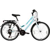 Rezzak Citybike Vergleich
