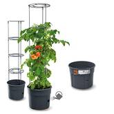 Tomatentopf Test & Vergleich  Top 10 im Juni 2026