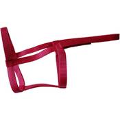 Rhinegold Field Safe Fohlenhalfter Vergleich