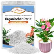 Riare Perlite Vergleich