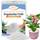 Riare Perlite
