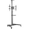 RICOO TV Ständer rollbar