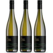 junge triebe the easy riesling Vergleich