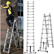 Rigogo Teleskopleiter