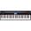 Roland GO-61P