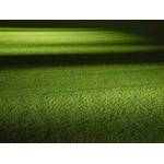 Rollrasen Rudi Premium Schattenrasen