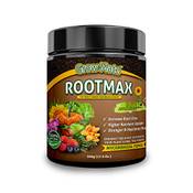 RootMax Mykorrhizapilze