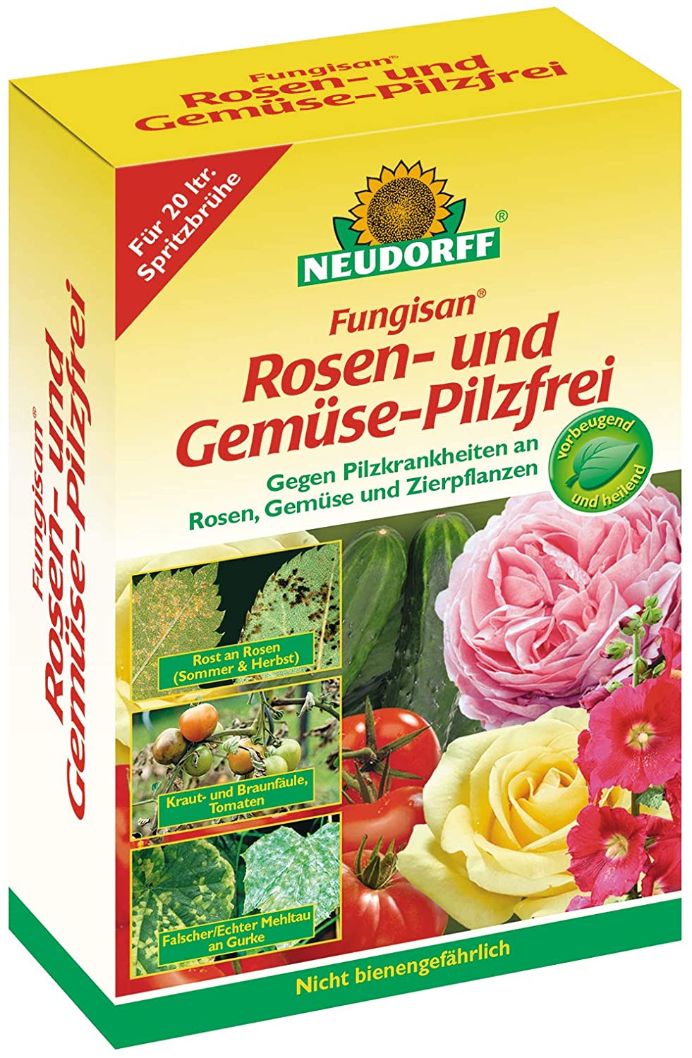 erdnuss saatgut Erdnuss (Arachis hypogaea) main image 1