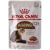 Royal Canin Ageing +12
