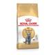Royal Canin British Shorthair Vergleich