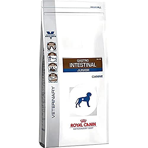 Royal Canin Trockenfutter Hund: Top 10 Test & Vergleich