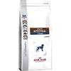Royal Canin 3182550771047