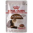 Royal Canin Indoor Longhair