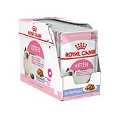Royal Canin Kitten Vergleich