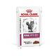 Royal Canin Nieren mit Rindfleisch Test