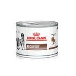 Royal Canin Recovery