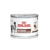 Royal Canin Recovery