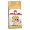Royal Canin Siamese