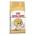 Royal Canin Siamese