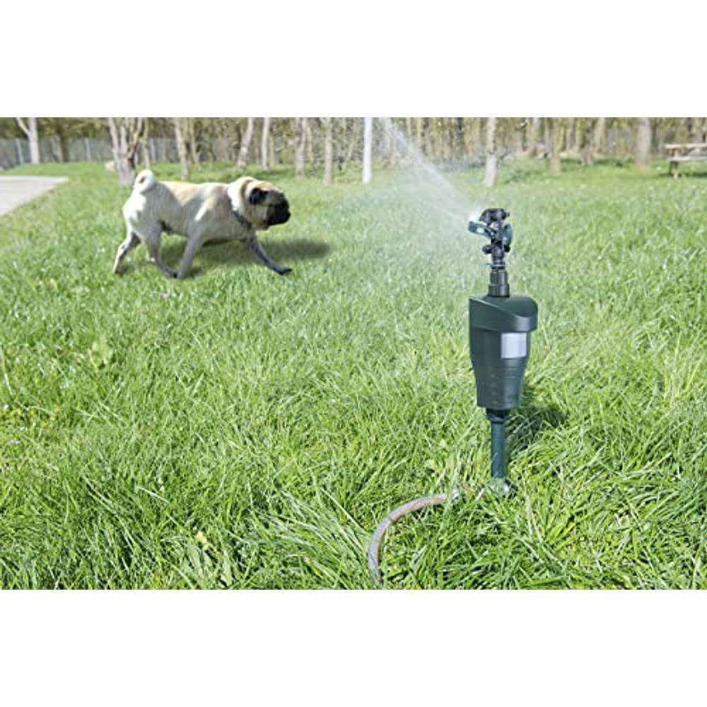 Wasserstrahl Tiervertreiber Ohne Wasseranschluss