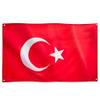 Runesol Türkei Flagge