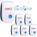 Rutida ‎‎SLT-DE-MOS-6PCS-0821