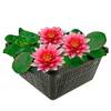 S VD Velde Waterplanten 67056