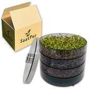Saatpur Keimsprossenbox-Set 3