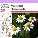 Saflax 15204
