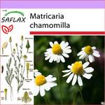 Saflax 15204