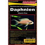 Sahawa Daphnien