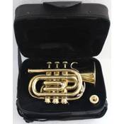 Sai Musical JM-17U9-25QY