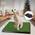 Sailnovo  Hundetoilette