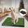 Sailnovo  Hundetoilette