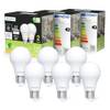 Sailsco Energiesparlampe