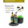 Saint Nutrition Chlorophyll-Tropfen
