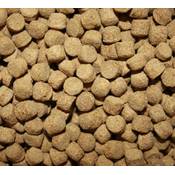 Saito Professional Koifutter Vergleich