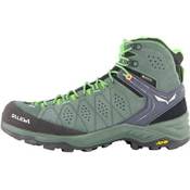Salewa Alp Trainer 2 SS21 Vergleich