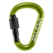 Salewa HMS Karabiner
