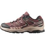 Salomon Extegra Gore-tex
