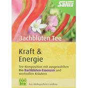 Salus Kraft & Energie