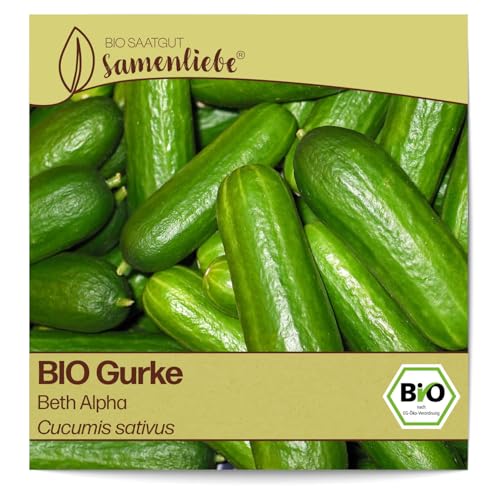 Gurken-Samen Test & Vergleich  Top 12 im Juni 2026