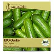 Samenliebe Bio Gurken Samen