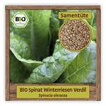 Samenliebe BIO Winterriesen Verdil